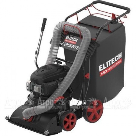 Пылесос садовый бензиновый Elitech HD GV 2958WTS (E1608.008.00) в Саратове