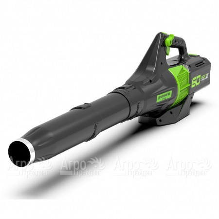 Воздуходувка аккумуляторная GreenWorks GD60ABK4  в Саратове