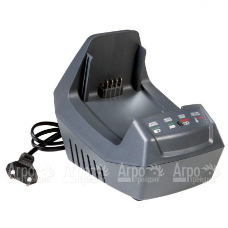 Быстрое зарядное устройство Oleo-Mac  в Саратове