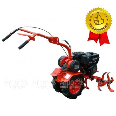 Мотоблок Салют-5 БС-1 с двигателем B&S Vanguard 6.5 л.с (фрезы в комплекте) в Саратове