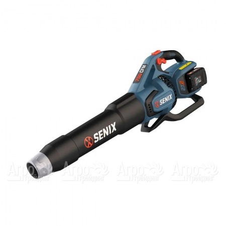 Воздуходувка аккумуляторная Senix BLAX2-M2-EU в Саратове