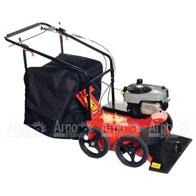 Садовый пылесос Echo Bear Cat WV190 в Саратове