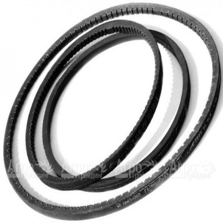 Комплект ремней хода для мотоблока Салют в Саратове