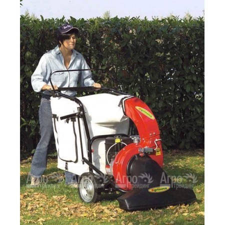 Agrinova AS10i Профессиональный парковый пылесос/воздуходувка самоходный в Саратове