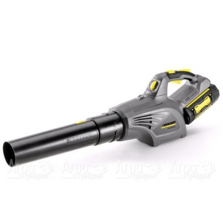 Воздуходувка аккумуляторная Karcher LB 850 Bp в Саратове