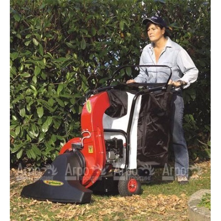 Agrinova AS10D1-SL Профессиональный парковый пылесос/воздуходувка самоходный (без измельчителя, с боковой щеткой) в Саратове