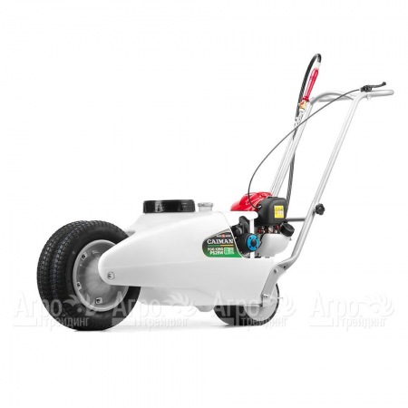 Опрыскиватель бензиновый Caiman Fog King PS25W в Саратове