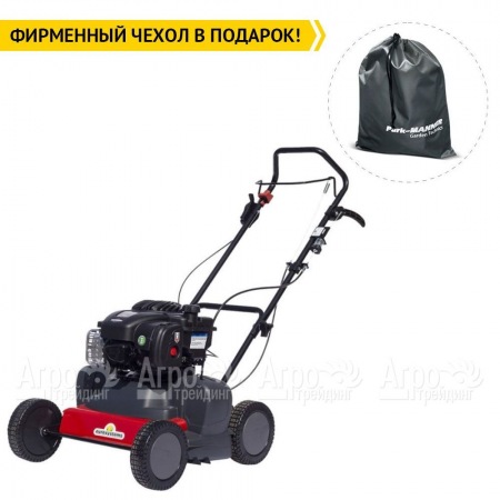 Скарификатор Eurosystems SC42B c двигателем Briggs&Stratton 450 series в Саратове