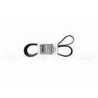 Pubert 0306030002 Ремень привода для ECO, ELITE, PRIMO (с реверсом) 5718 в Саратове