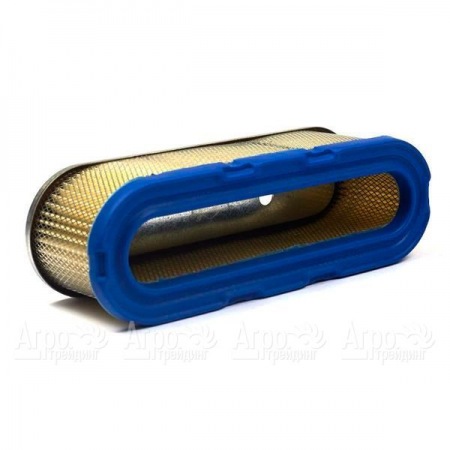 Воздушный фильтр Briggs&Stratton 00006 в Саратове