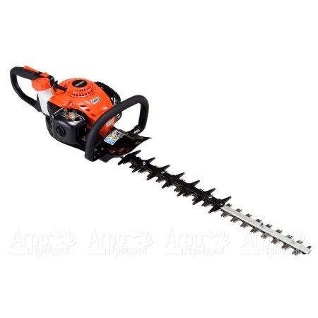 Бензиновый кусторез (бензокусторез) Echo HCR-165ES в Саратове