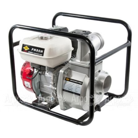 Бензиновая мотопомпа DDE PN80H в Саратове