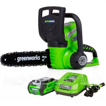 Аккумуляторная пила GreenWorks G40CS30II-12" 2 Ач  в Саратове