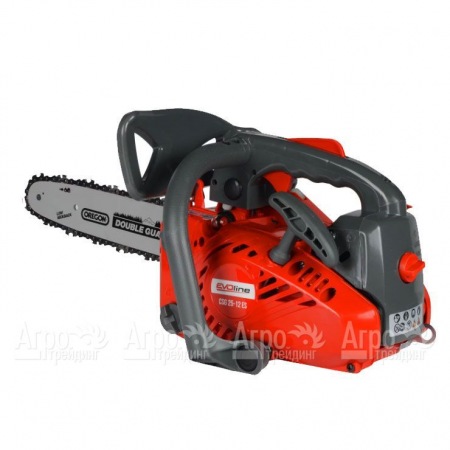 Бензопила EVOline CSG 25-12 ES в Саратове
