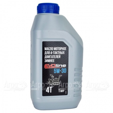 Масло моторное EVOline SAE 5W-30 API SN/CF 1 л для 4-х тактных двигателей в Саратове
