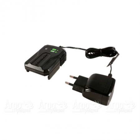 Зарядное устройство G24UC2 для моделей Greenworks 24 В в Саратове