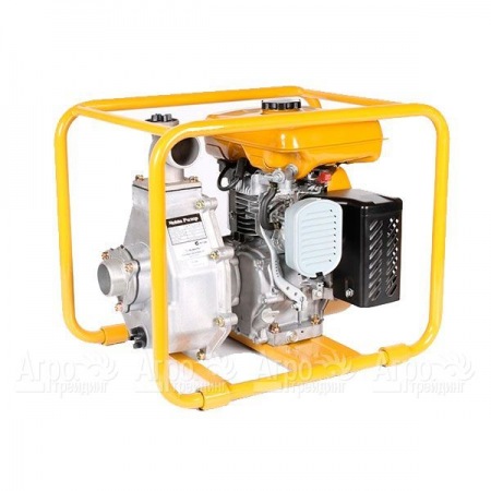 Бензиновая мотопомпа DaiShin PTG 208 H в Саратове