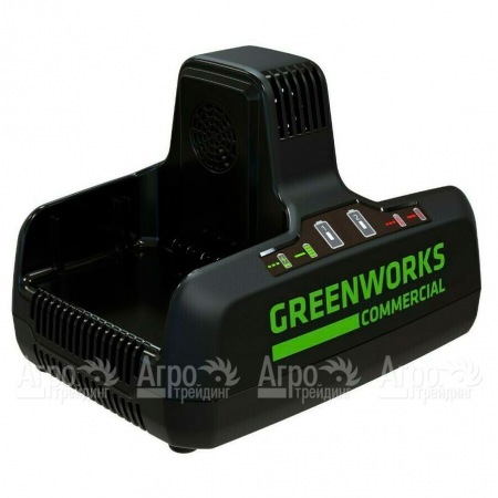 Быстрое зарядное устройство GreenWorks G82C2  в Саратове