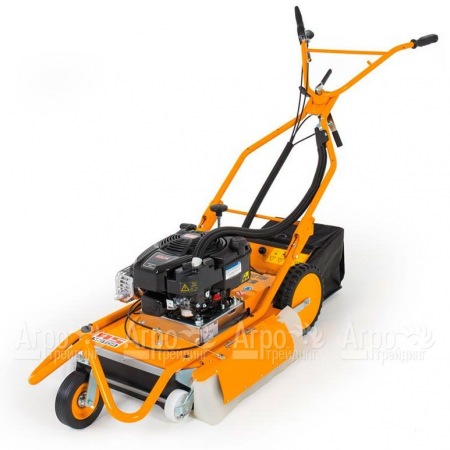 Машина для чистки плитки и брусчатки AS-Motor AS 50 WeedHex в Саратове