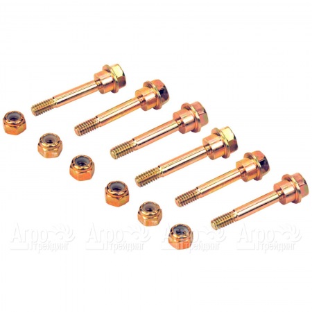 Husqvarna, Partner Срезные болты, в комплекте 6 шт. 5321882-43 в Саратове