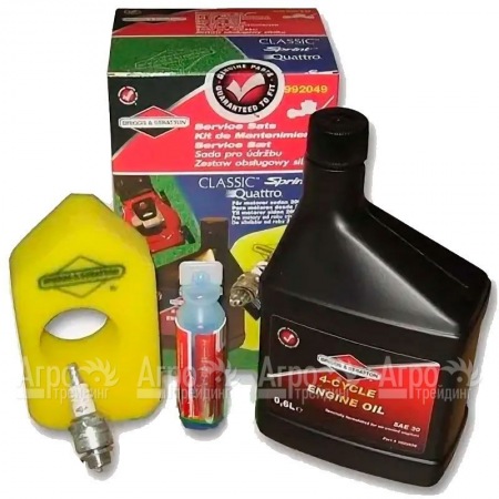Набор для техобслуживания двигателей Briggs&Stratton Classic, Sprint 992049 в Саратове