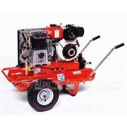 Компрессор дизельный Agri 55 Diesel в Саратове