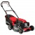 Газонокосилка бензиновая EVOline LMG 51 CS в Саратове